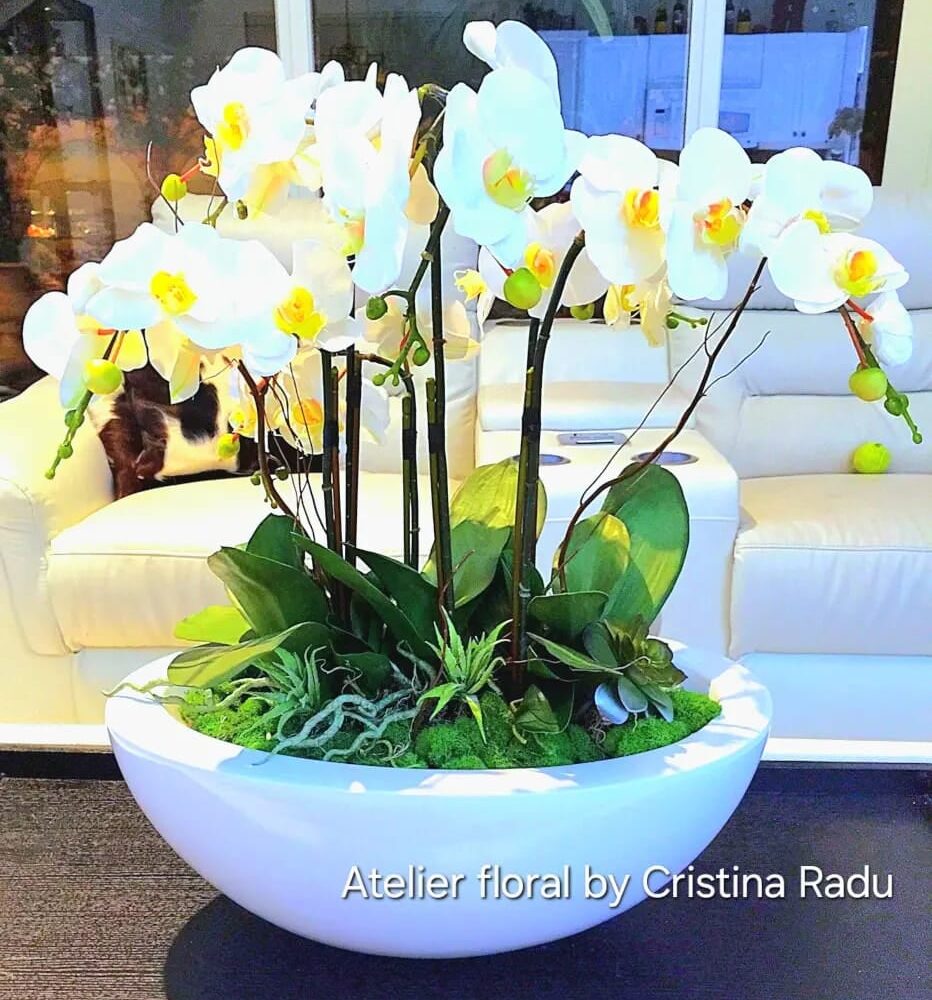 Shop Primary Image Shop Primary Image