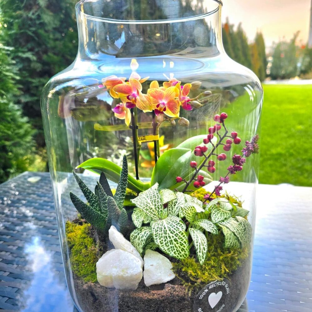 Shop Primary Image Shop Primary Image